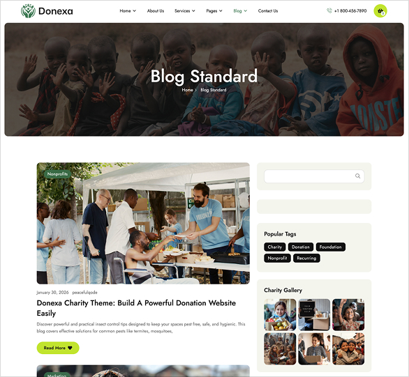 Blog Standard 